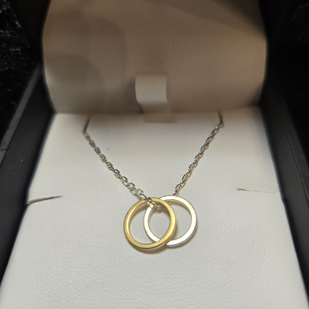 Double Rings Two Tone Necklace JEWLR - Picture 2 of 3